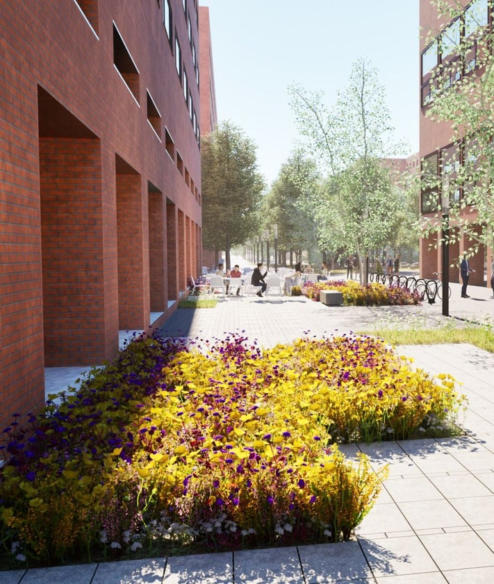 Imagen secundaria 2 - De arriba a abajo: figuraciones del jardín recayente a Ramón Llul y Tarongers, del espacio entre aularios y del corredor que separa la Facultad de Derecho del aulario norte. 
