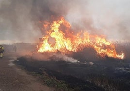 Incendio declarado en la Marjal dels Moros este miércoles.