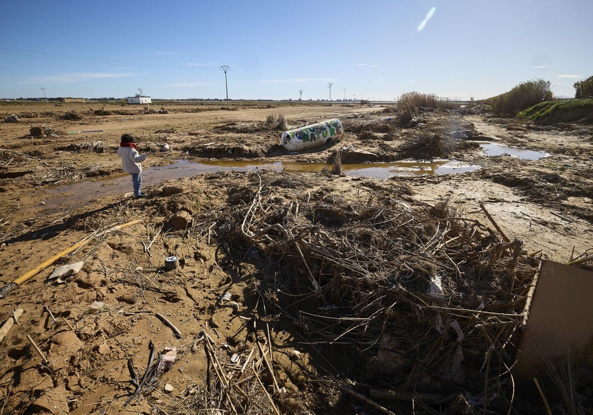 Aspecto de uno de los campos de la Albufera.