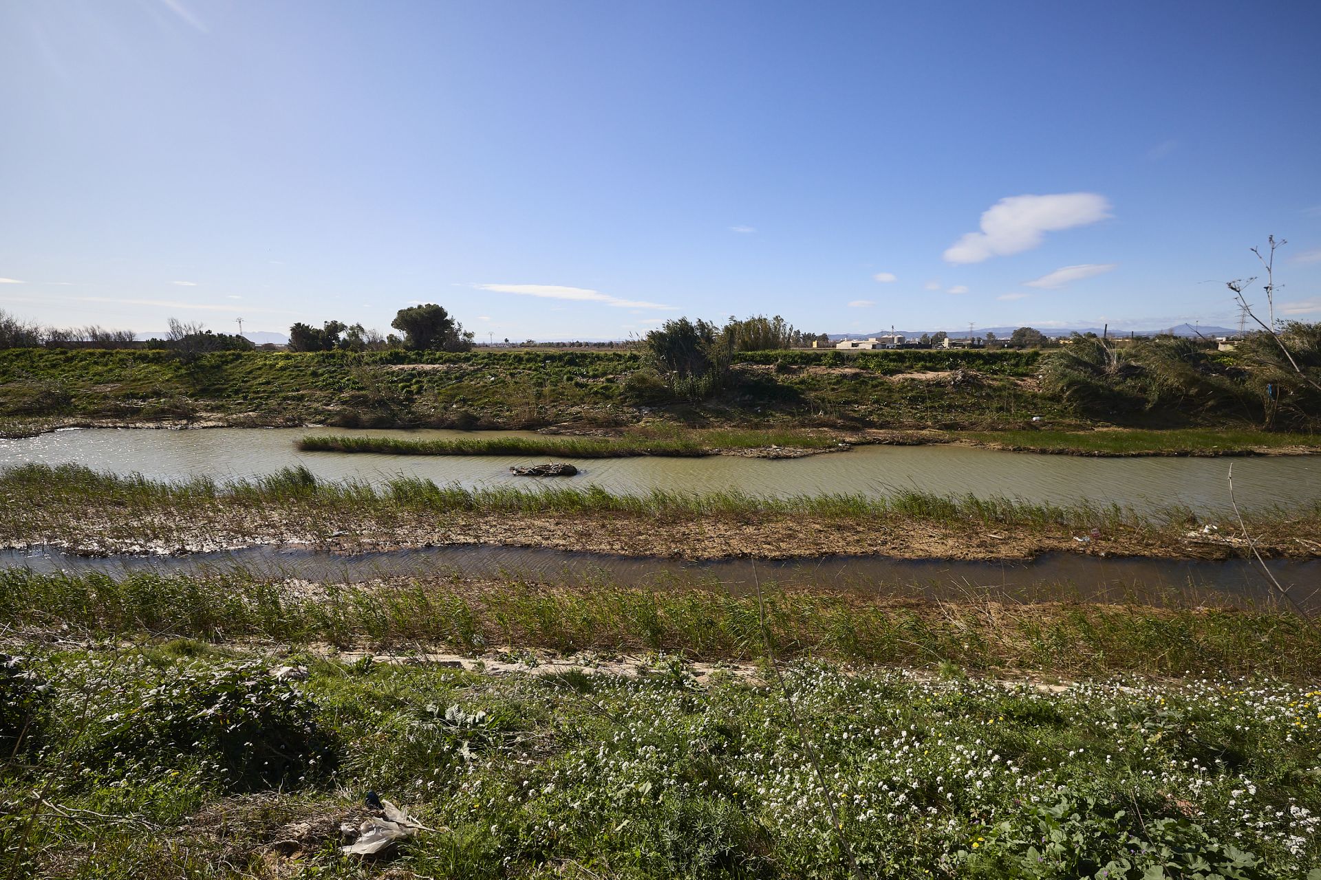 Las heridas del parque natural de la Albufera tras la DANA