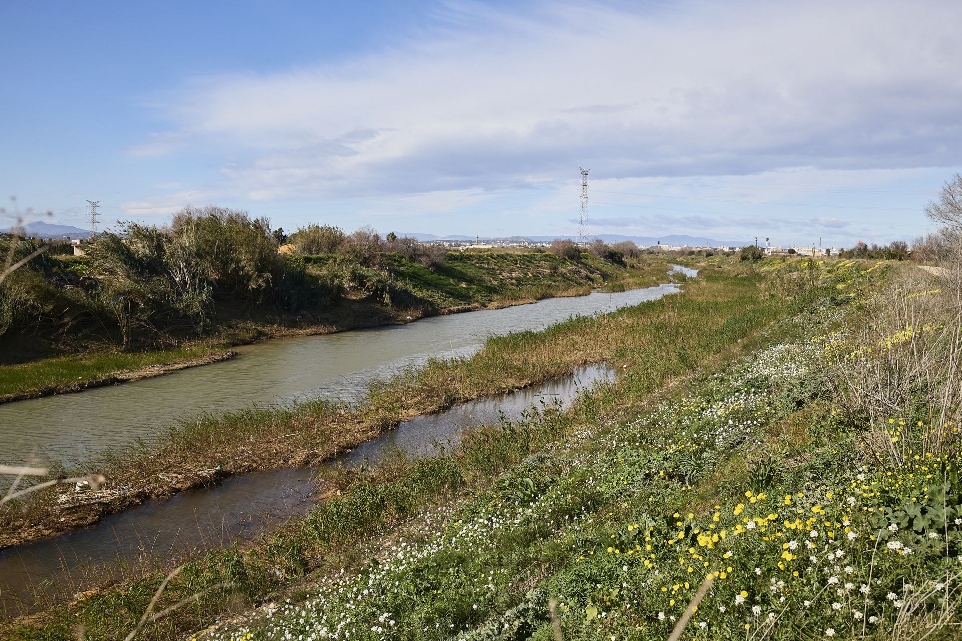 Las heridas del parque natural de la Albufera tras la DANA