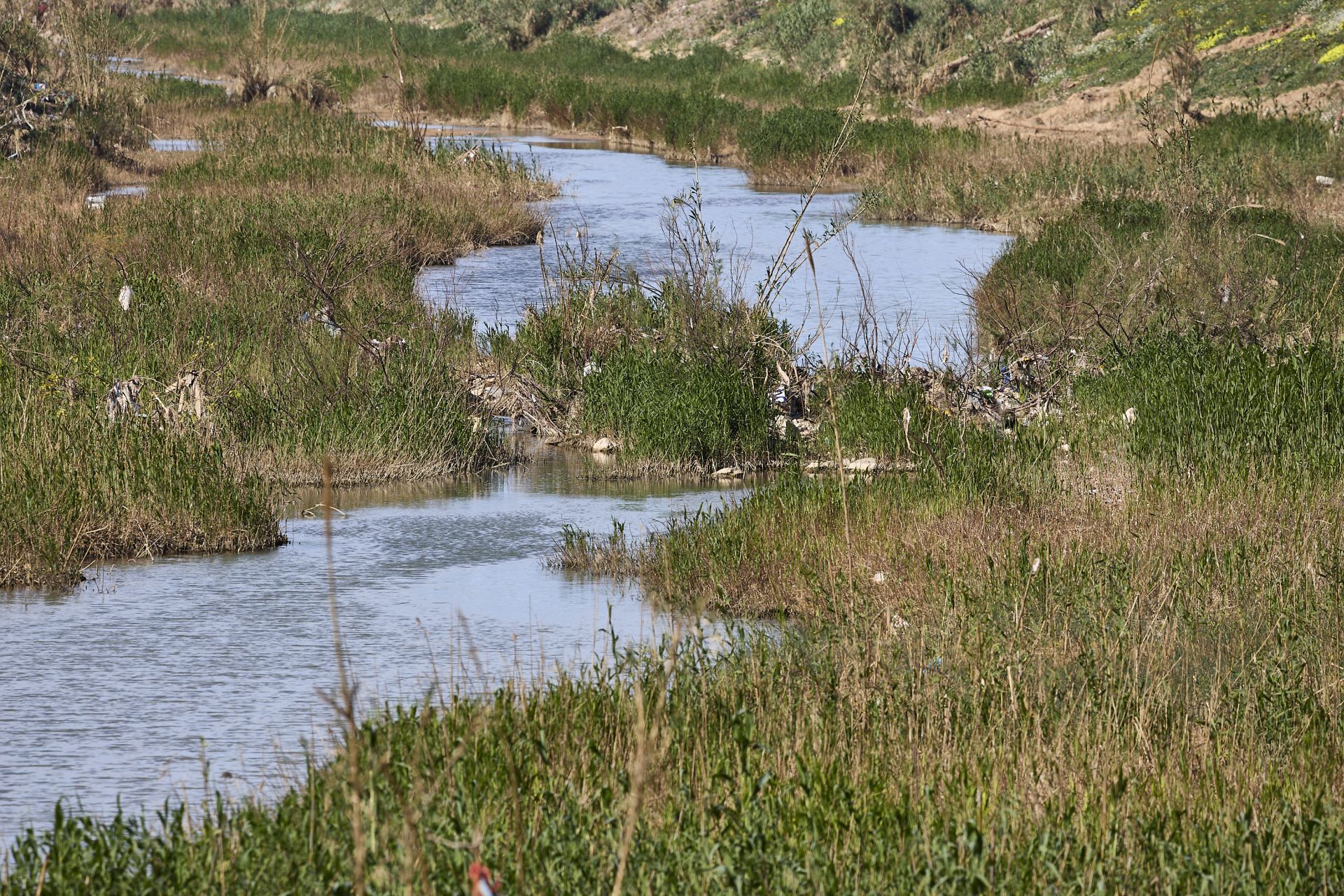 Las heridas del parque natural de la Albufera tras la DANA