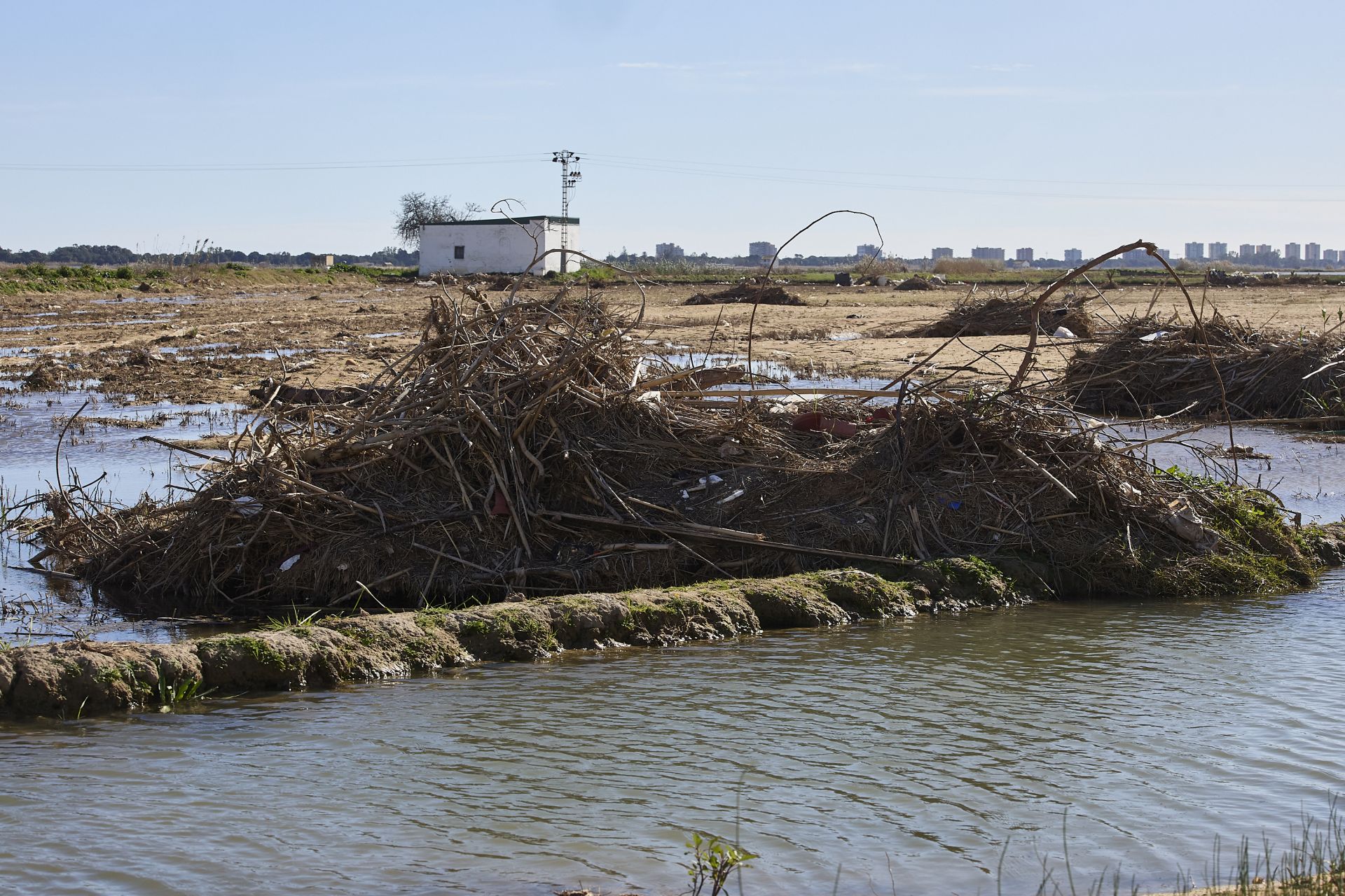 Las heridas del parque natural de la Albufera tras la DANA