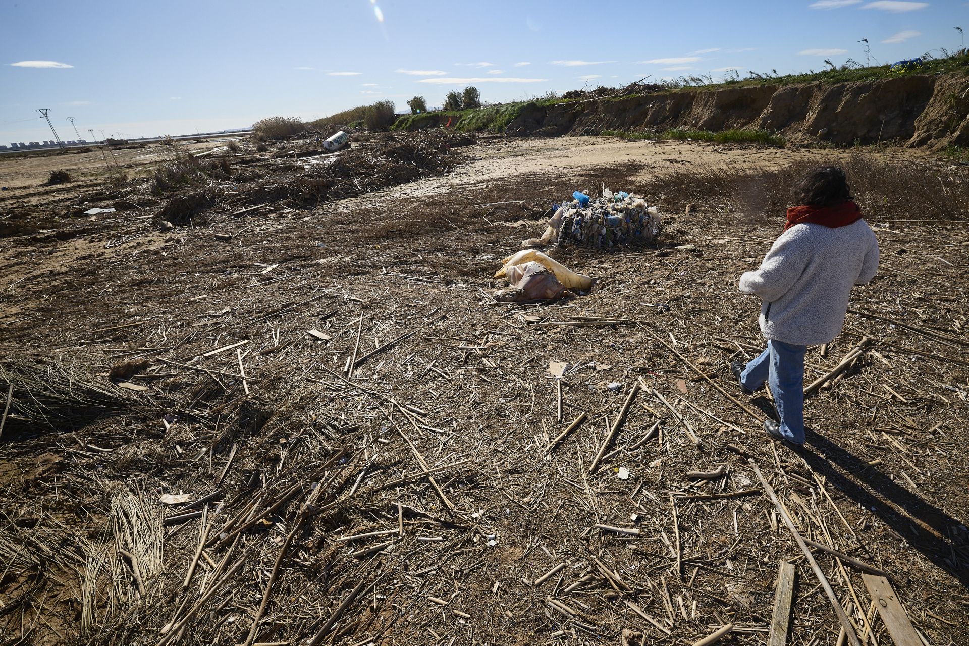 Las heridas del parque natural de la Albufera tras la DANA