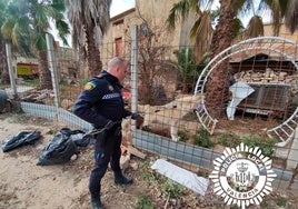 Un policía junto al perro lobo.