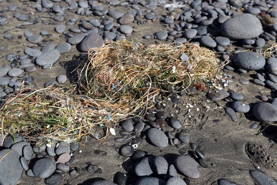 Los microplásticos llegan a la costa cargados con hasta 81 contaminantes.