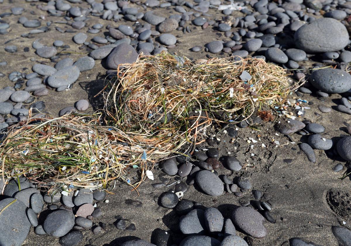 Los microplásticos llegan a la costa cargados con hasta 81 contaminantes.