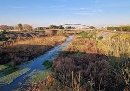 Tramo del Carraixet a su paso por Alboraya.