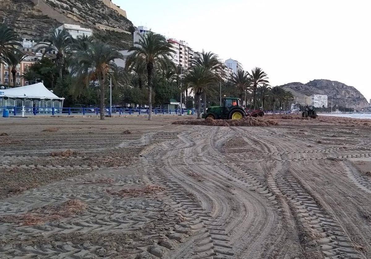 Una playa en una imagen de archivo.