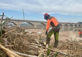 Brigadas de la Generalitat, este miércoles en el parque del Turia.