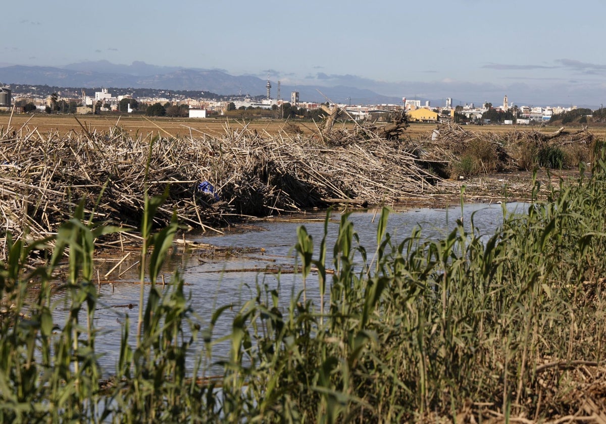 Vista del puerto de Catarroja, en el parque natural de la Albufera.