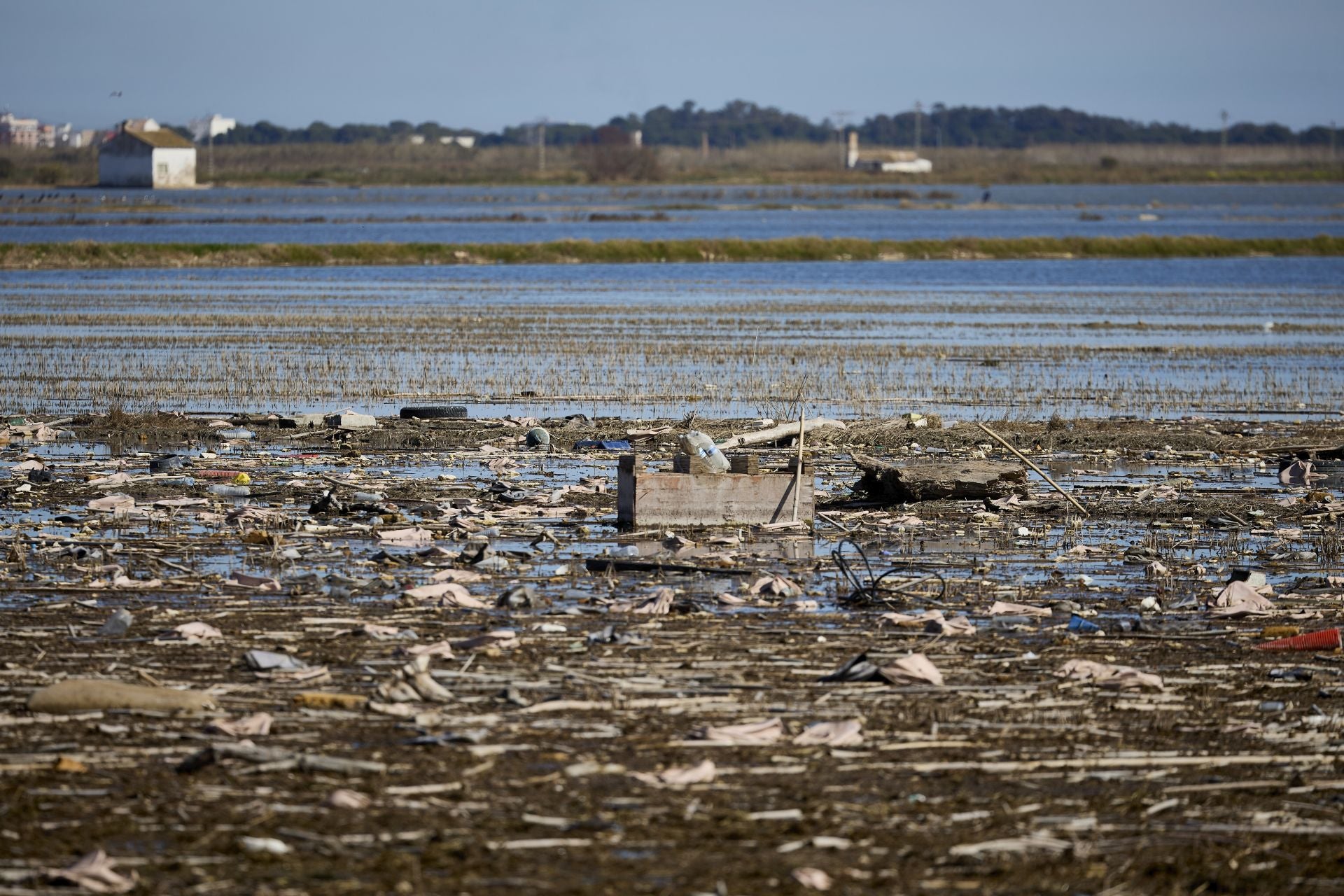 FOTOS | Los canales de la Albufera siguen bloqueados por la basura y la acumulación de cañas