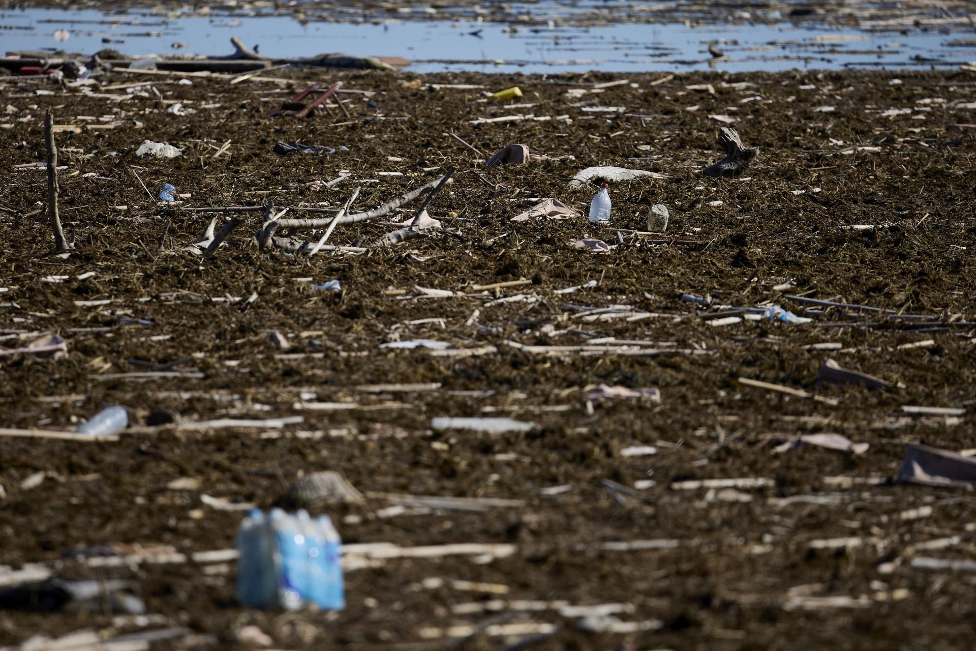 FOTOS | Los canales de la Albufera siguen bloqueados por la basura y la acumulación de cañas