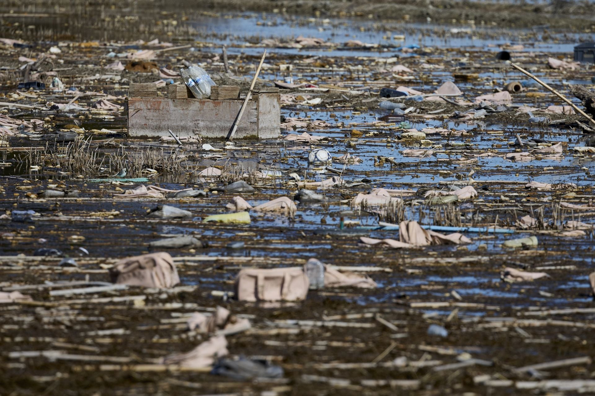 FOTOS | Los canales de la Albufera siguen bloqueados por la basura y la acumulación de cañas