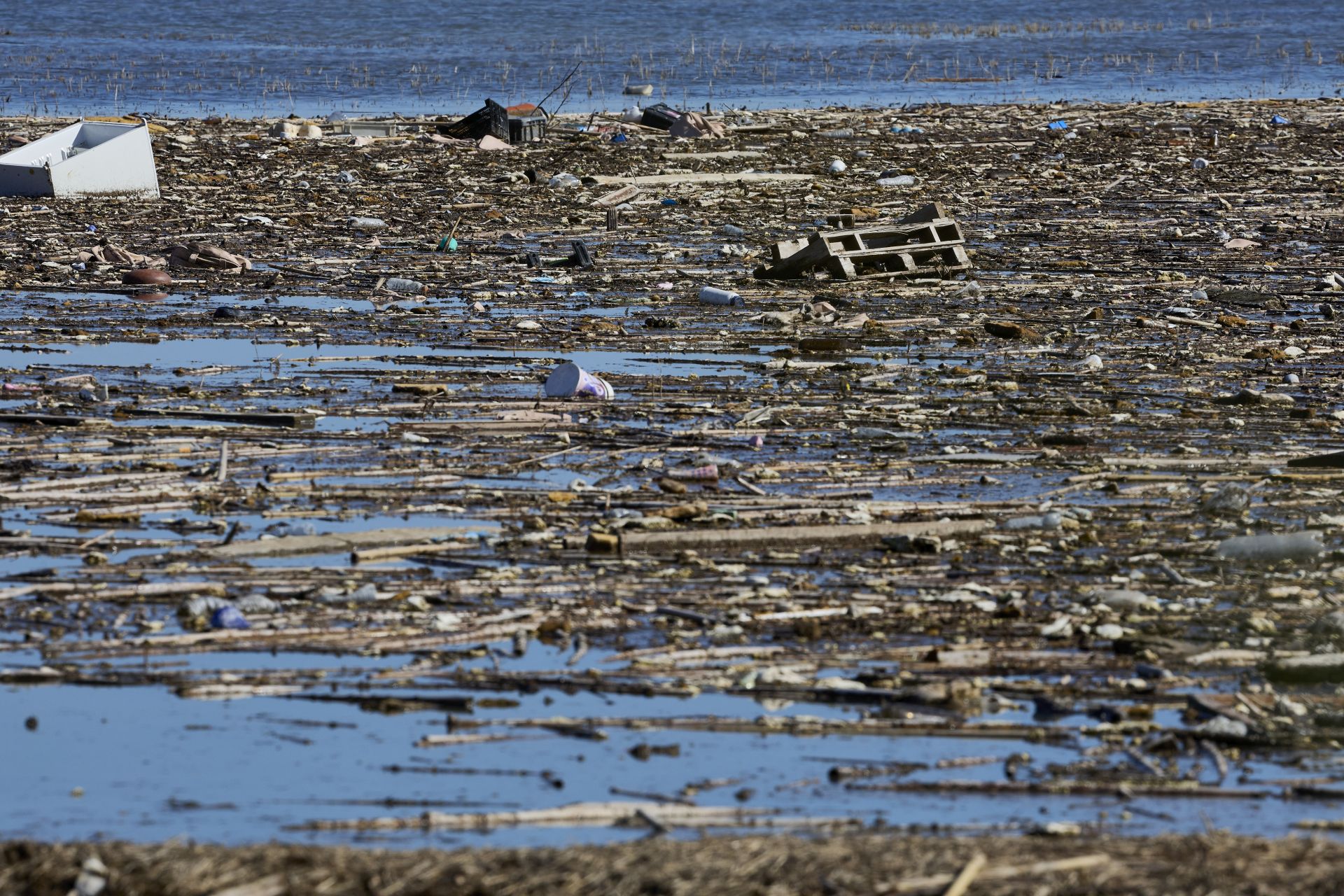 FOTOS | Los canales de la Albufera siguen bloqueados por la basura y la acumulación de cañas