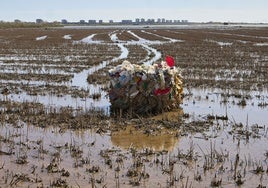 La Albufera tras la dana.