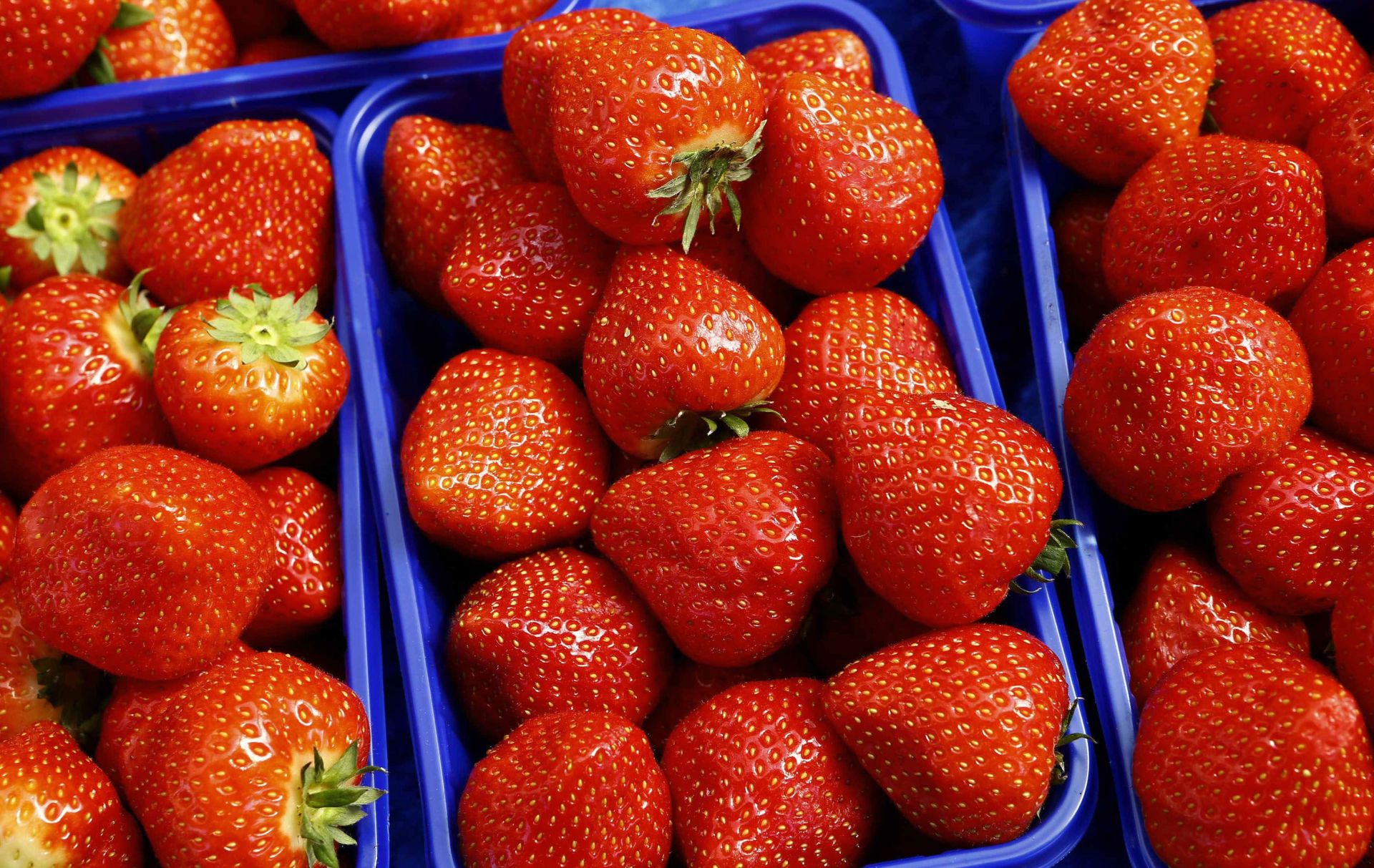 Fresas, en imagen de archivo.