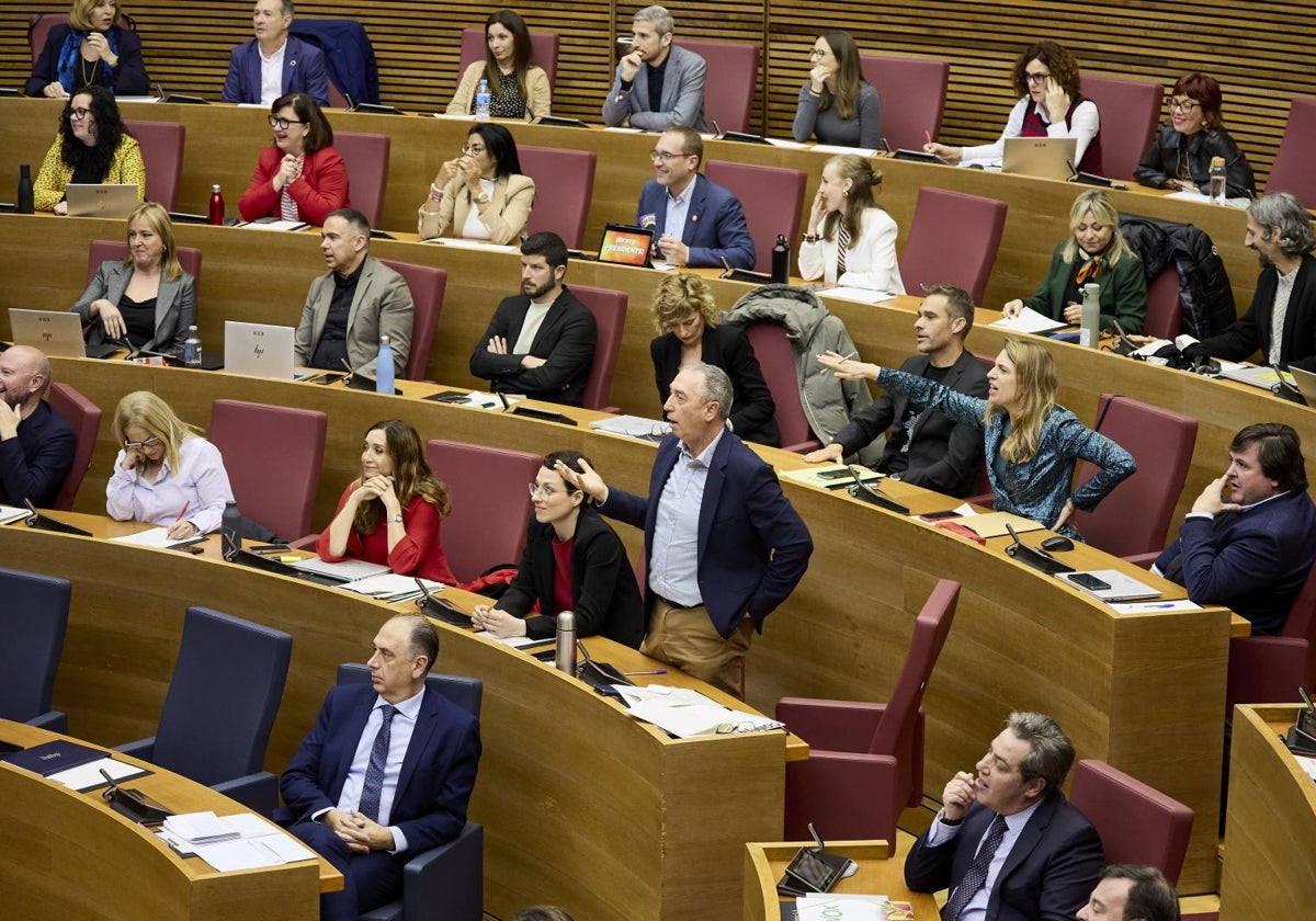 Baldoví, de pie, pide explicaciones en la votación de Les Corts.