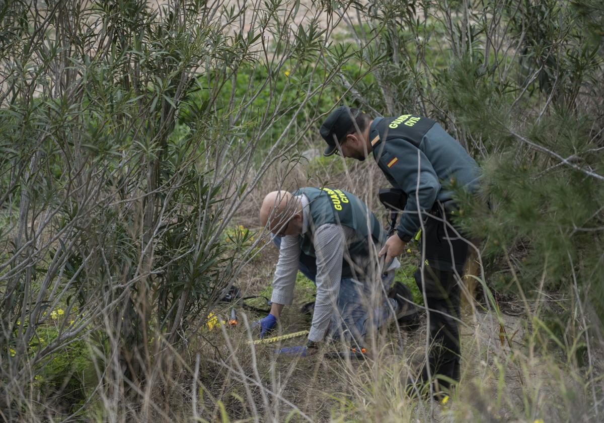 Dos agentes buscan pistas del crimen entre la maleza, junto al lugar en el que apareció el cuerpo de Torró.