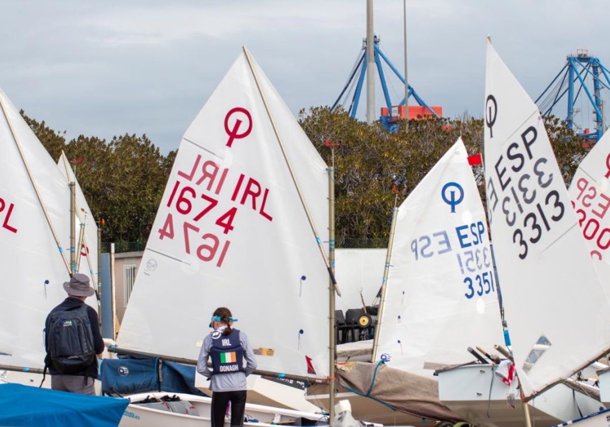 Veleros participantes de la regata.