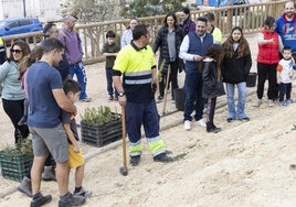 El objetivo es plantar 500 ejemplares esta legislatura.