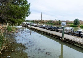 Canal en el puerto de Catarroja, en una imagen de este lunes.