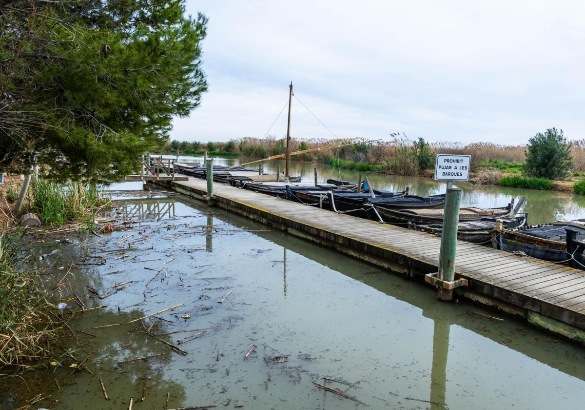 Canal en el puerto de Catarroja, en una imagen de este lunes.