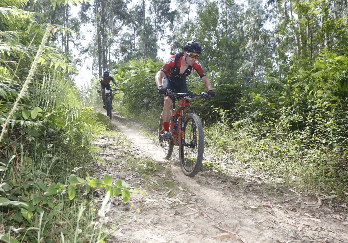 Unos ciclistas transitan por el monte.