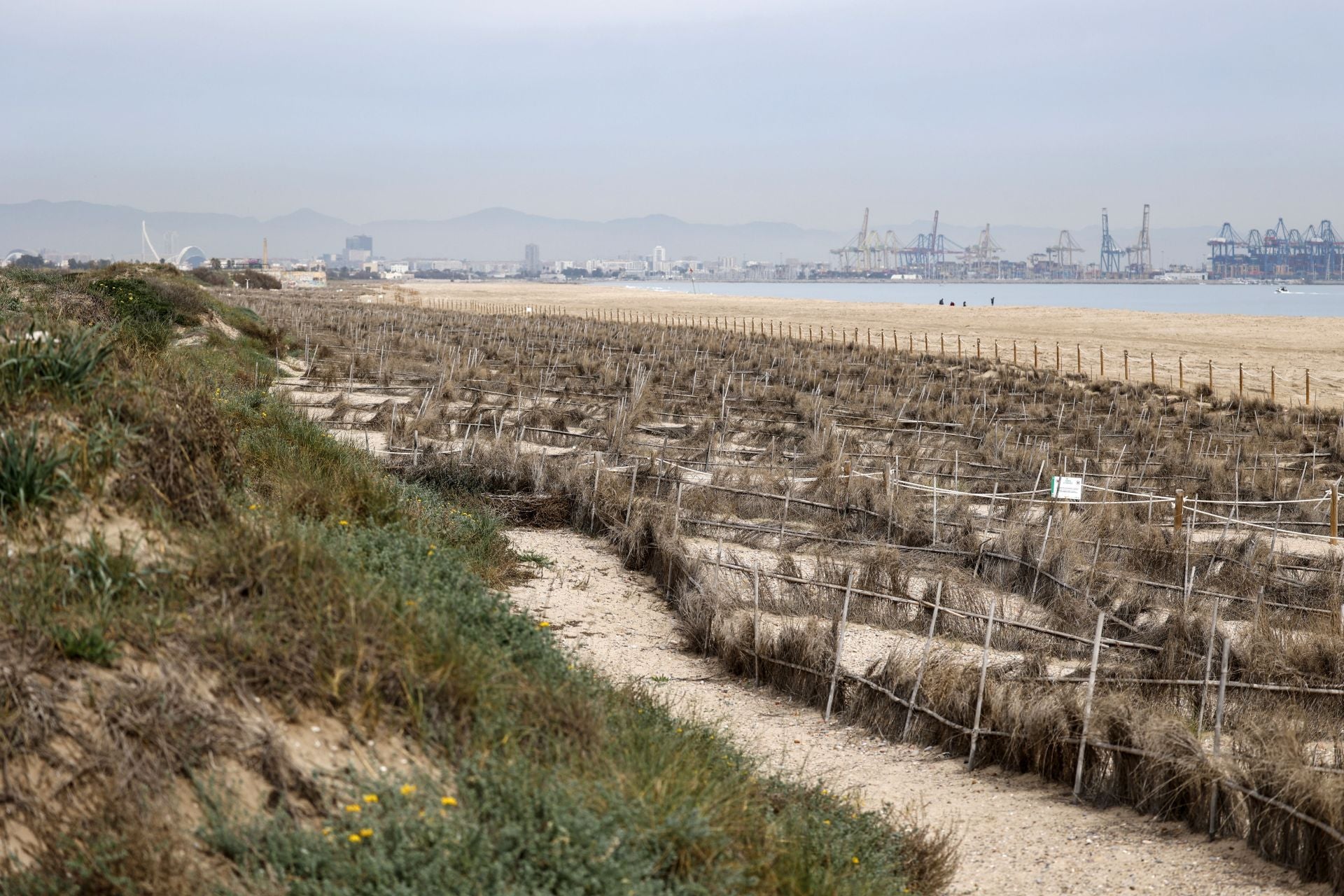 FOTOS | Las playas de Valencia, limpias de nuevo tras el paso de la dana