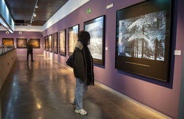 Una persona en la exposición 'Look up! - Mira cap amunt!' del MuVIM.