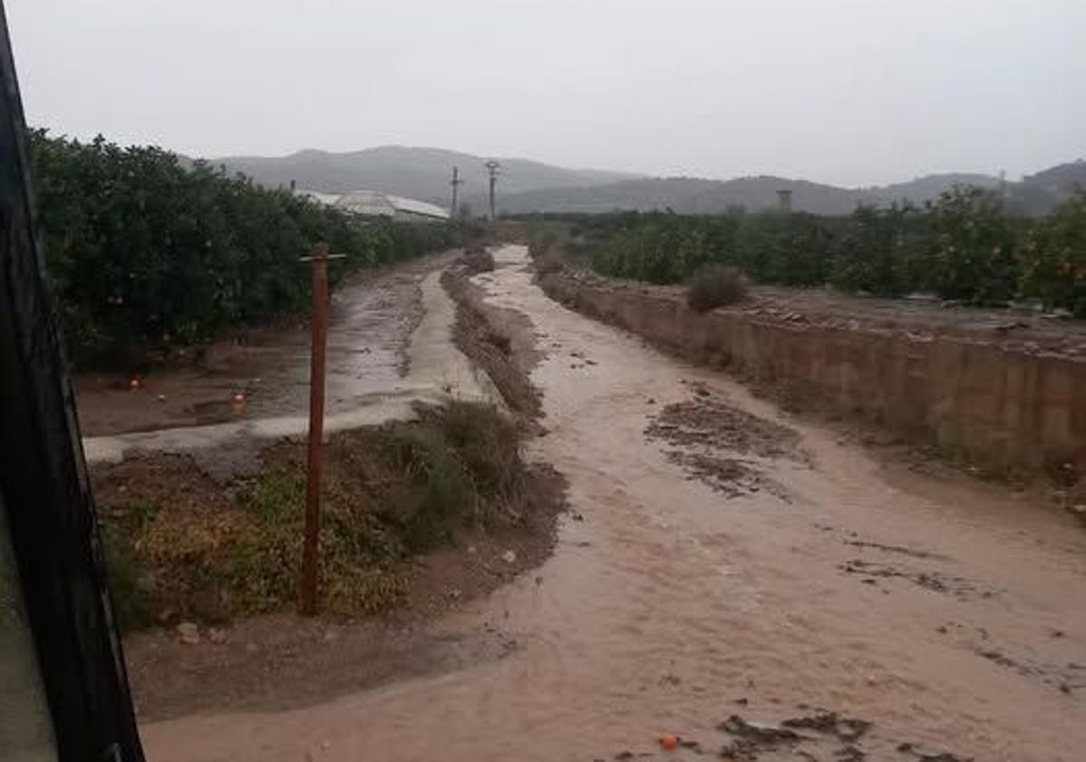 Así ha amanecido Casinos este martes tras las lluvias del lunes.