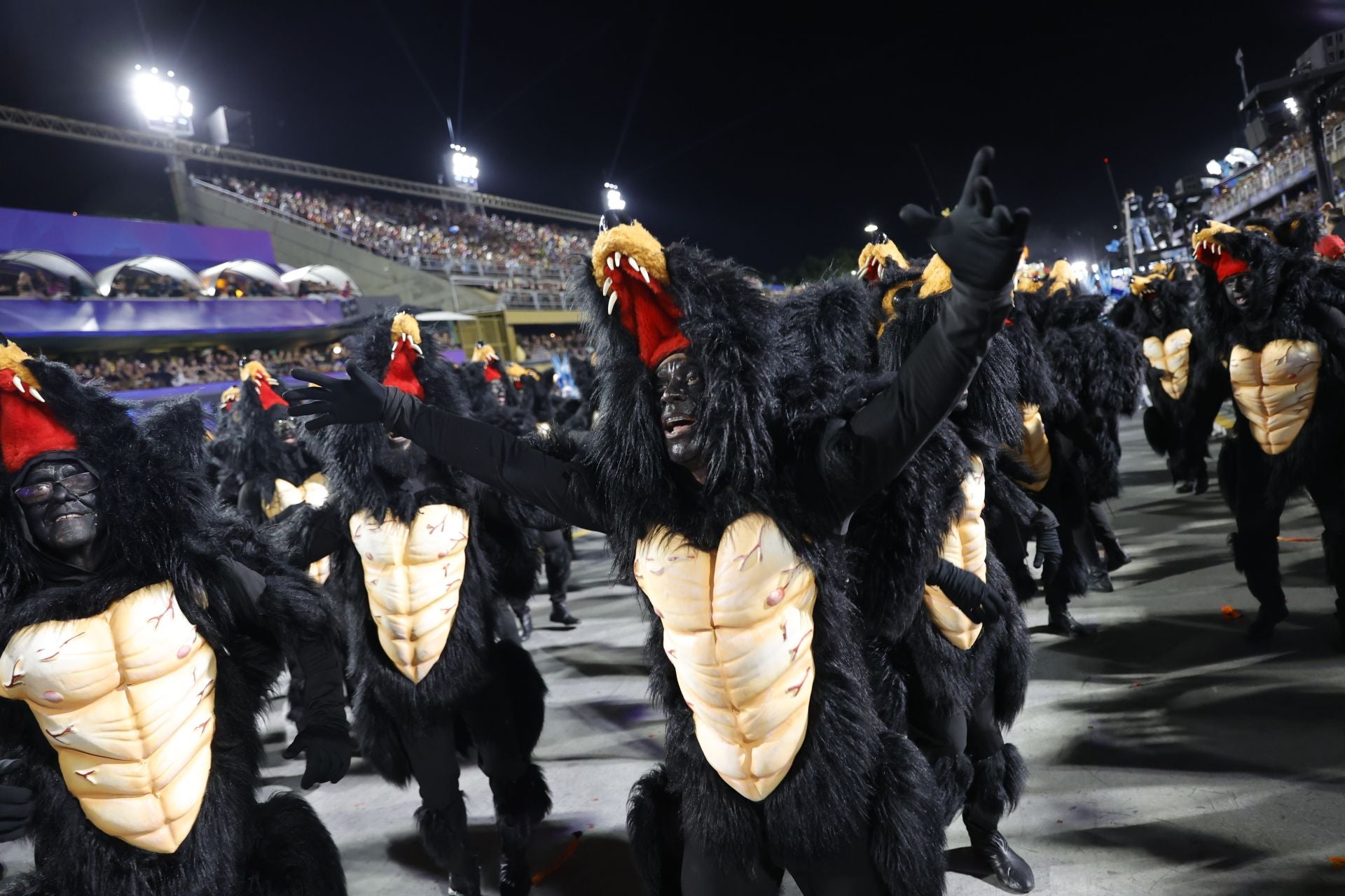 Las mejores imágenes del Carnaval de Río de Janeiro 2025