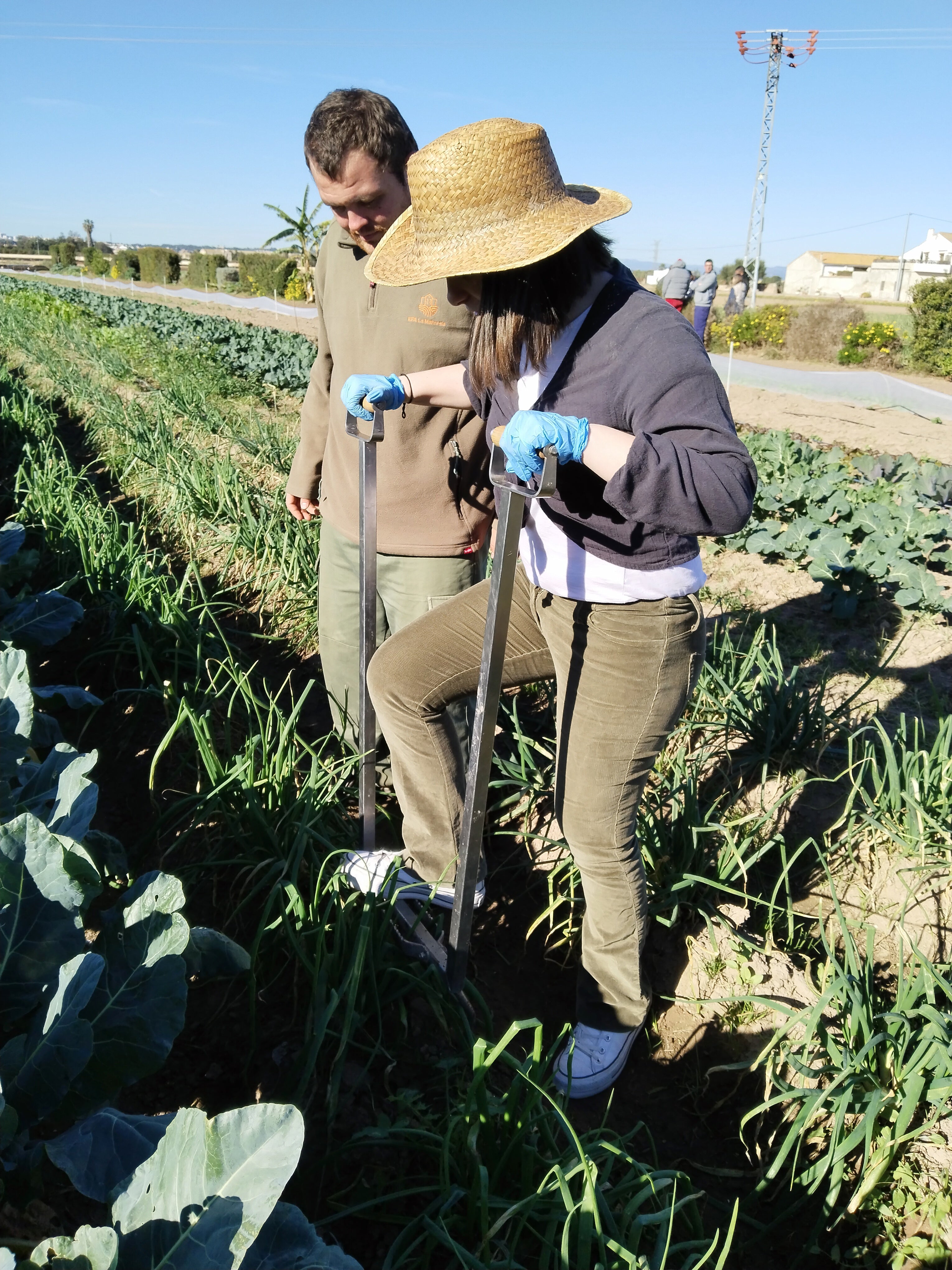 Los usuarios trabajando en el campo.