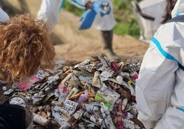 Recogida de medicamentos tras la dana en la Albufera.