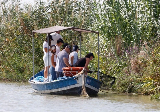 Tares de limpieza de la Albufera, en una imagen de archivo.