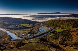 El sector aporta en España más de 80.000 toneladas de alimento, natural, fresco y nutritivo, al año.