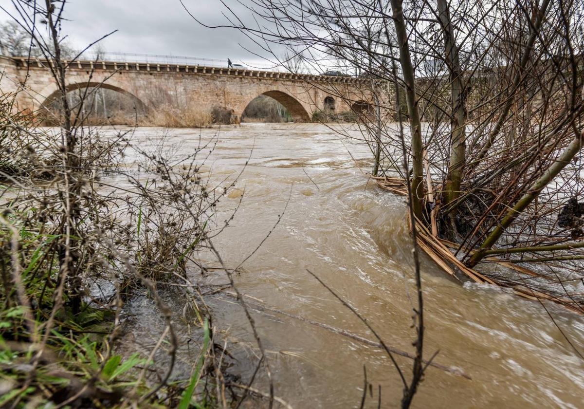 Crecida del río Henares en la provincia de Guadalajara.