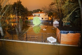 Río Guadarrama a su paso por Henares.