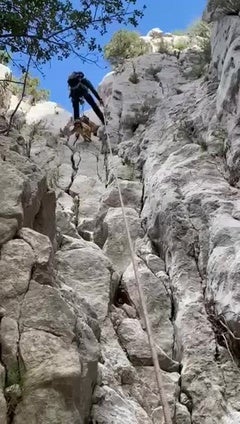 La Guardia Civil rescata a dos perros atrapados en unas rocas a 50 metros de altura en Dos Aguas