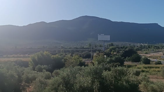 Terrenos de Valpark, en Vallada.