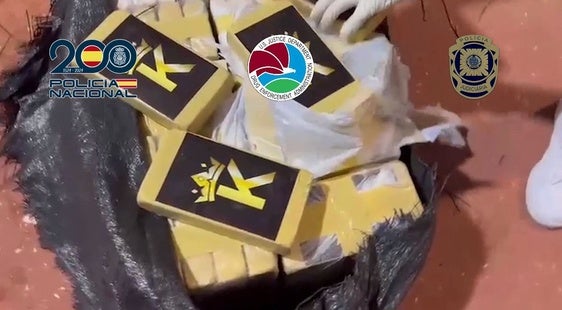 La droga estaba oculta entre sacos de cebollas.