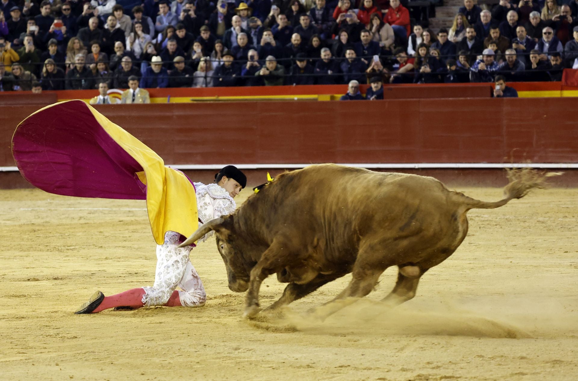 FOTOS | Así ha sido la segunda corrida de la Feria de Fallas 2025: Roca Rey, Talavante y Alejandro Chicharro