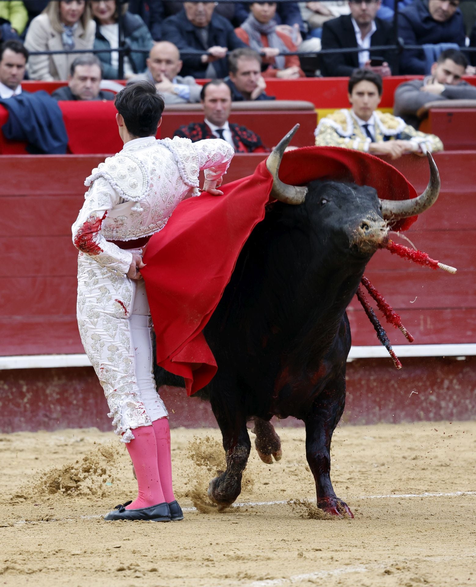 FOTOS | Así ha sido la segunda corrida de la Feria de Fallas 2025: Roca Rey, Talavante y Alejandro Chicharro