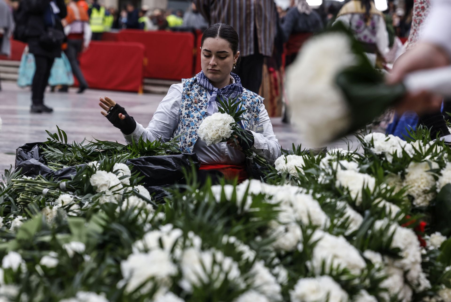 FOTOS | El primer día de la Ofrenda 2025