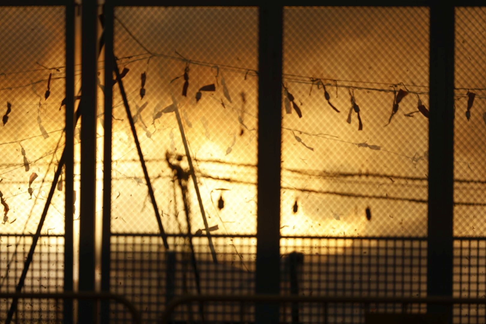 Fotos: Así ha sido la mascletà de Pirotecnia Vulcano