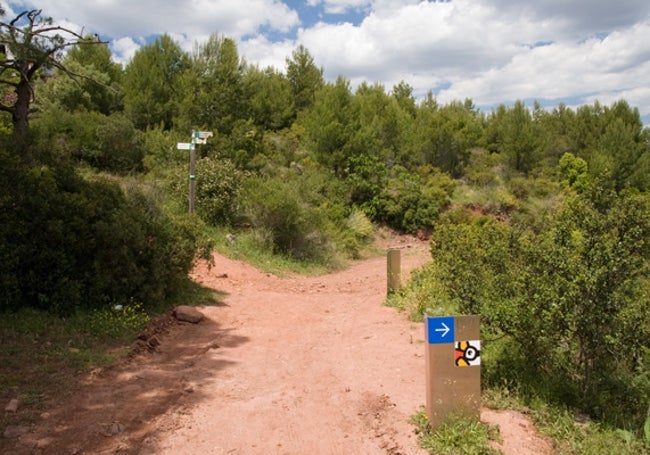 Pista forestal ruta azul.