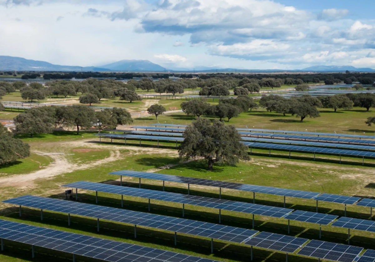 Planta fotovoltaica Talayuela II, de Statkraft.