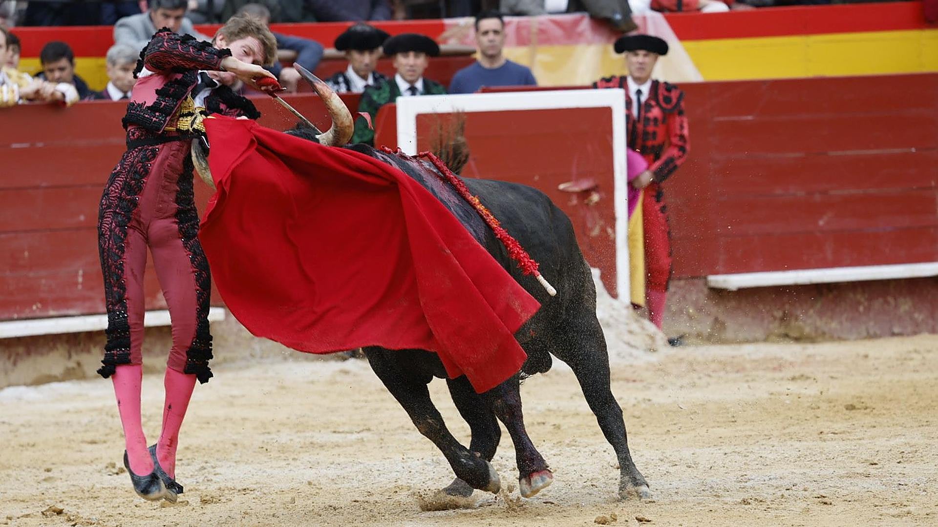 Feria de Toros en Valencia: Emociones y Valor en Tiempos Difíciles Feria de Toros en Valencia: Emociones y Valor en Tiempos Difíciles