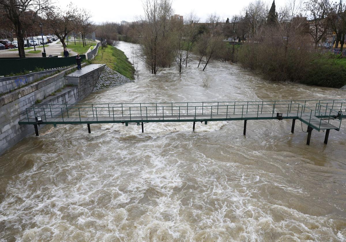 Así baja el río Manzanares, una imagen nunca vista