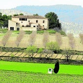 Zona conocida como la Toscana valenciana.